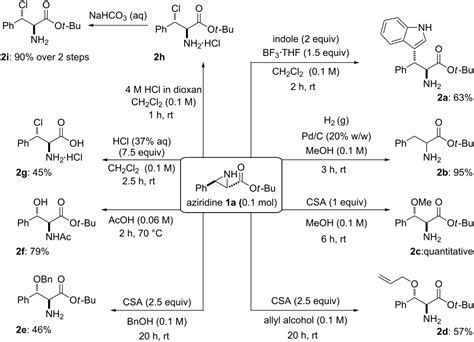 Synthesis and ring openings of cinnamate-derived N-unfunctionalised ...