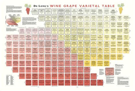 Grape Varietals – Northeast Winemaking