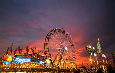 Katy Rice Harvest Festival 2024 Dates - Amalee Genvieve