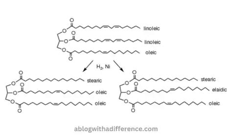 Difference Between Hydrogenated and Partially Hydrogenated Oil - A Blog ...