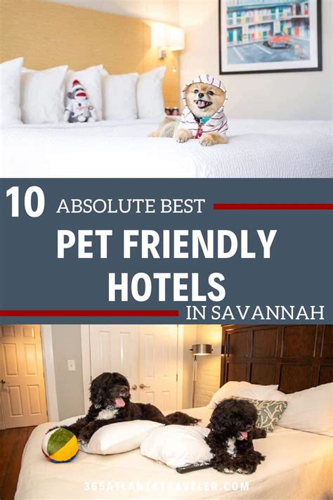 10 'Paw-some' Pet Friendly Hotels Savannah GA Offers for Your Next Vacation