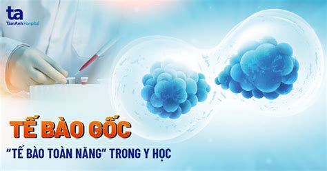 Tìm hiểu sinh lý học là gì và các quá trình sinh lý trong cơ thể con người