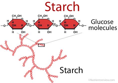 Polymers of the carbohydrate monomer glucose are used as the major form ...