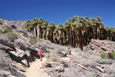 Palm Springs Hiking Trails | Palm springs hiking, Hiking trails, Palm ...