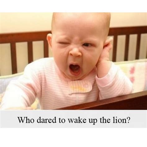 30 Sleeping Baby Memes That Are Definitely Worth Sharing – Child Insider