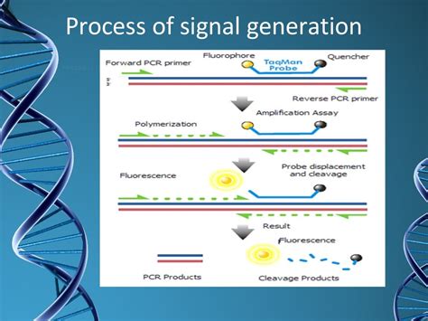 Types of pcr