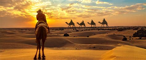 Desert Safari in Qatar - Discover the Golden Sand Dunes