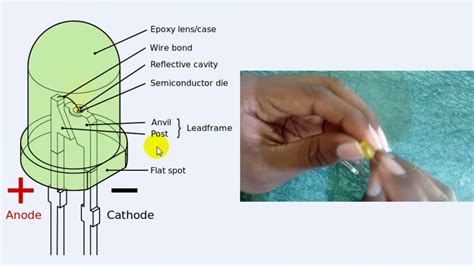 Anode cathode diode - gulutap