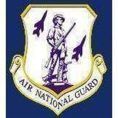 US Air National Guard Insignia Flag 3 X 5 ft. Standard