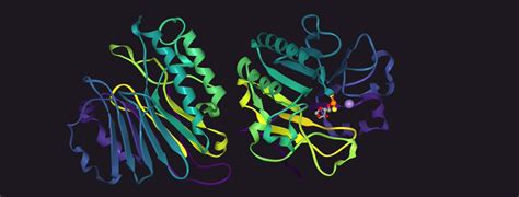 Ribbon Diagrams on Twitter: "7LPJ: APE1 Mn-bound phosphorothioate ...