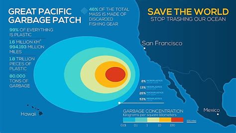 The Great Pacific Garbage Patch Map