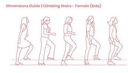 Climbing Stairs - Female (Side) Dimensions & Drawings | Dimensions.com ...