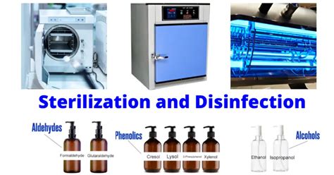 Sterilization and Disinfection Methods – Microbe Online