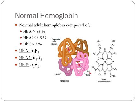 Hemoglobin Types