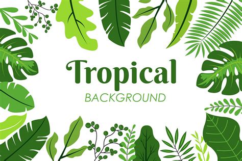 Tropical Leaves Vectores, Iconos, Gráficos y Fondos para Descargar Gratis