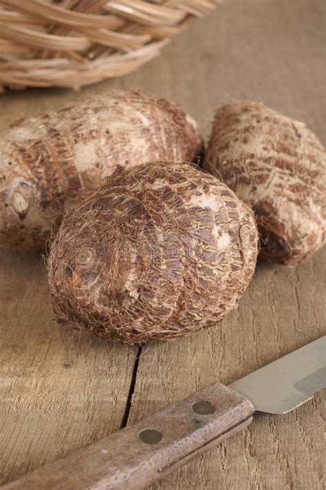 Eddoe a Tropical Root Vegetable Stock Photo - Image of taro, exotic ...