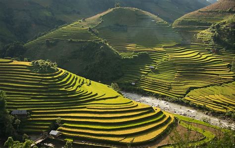 The Awe-Inspiring Beauty of Rice Terraces - WorldAtlas