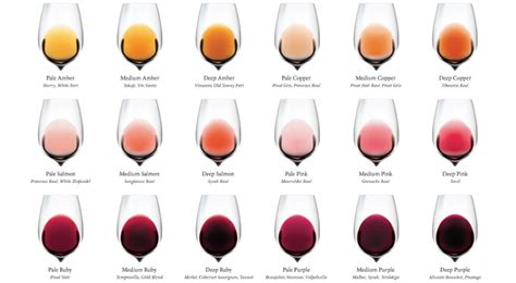 Wine Colour Chart: Wine Colour Explained