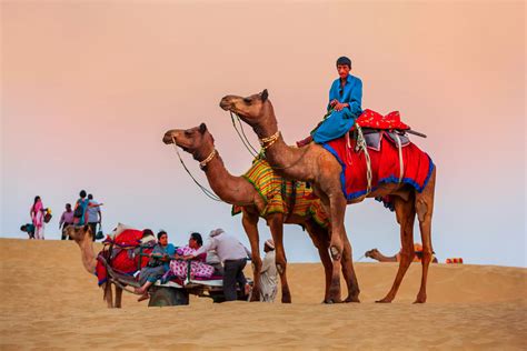 Camel Safari In Jaisalmer - Shama Desert Camp