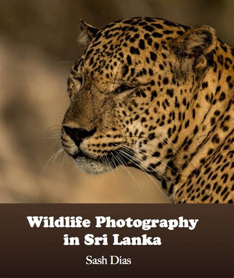 Wildlife Photography In Sri Lanka - Home