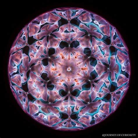 One of my favourite Cymatics photos. A very floral feel. What do you ...