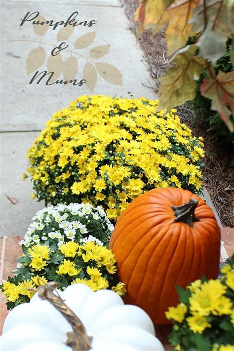 Fall Front Porch: Mums + Pumpkins - Refresh Restyle