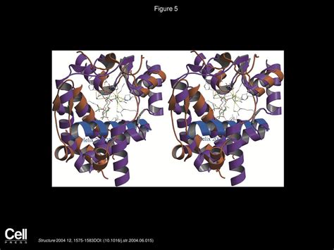 Qun Liu, Qingqiu Huang, Xin Gen Lei, Quan Hao Structure - ppt download