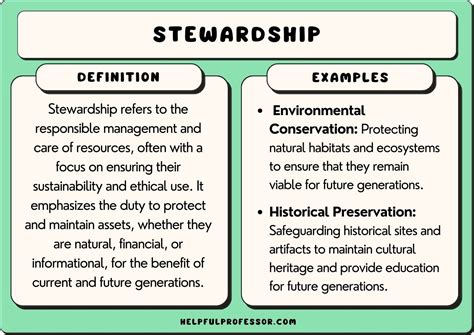 25 Stewardship Examples (2024)