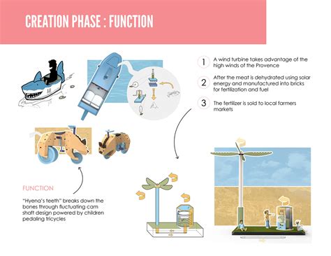 Biomimetic Inspired Design :: Behance