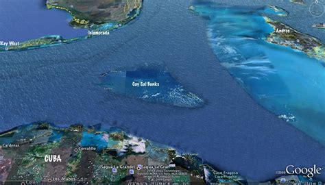 Cay Sal Bank Diving | ... 30 miles south of Cay Sal Bank. Little known ...