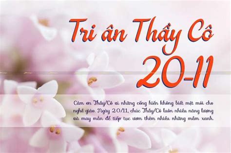 Hình Ảnh 20/11 Đẹp Ý Nghĩa Tặng Thầy Cô Giáo Kính Yêu