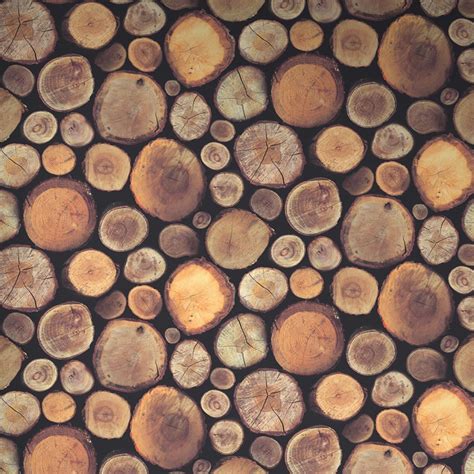 Wood Logs Wallpapers - Wallpaper Cave