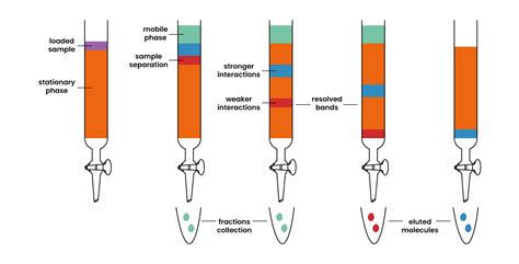 COLUMN CHROMATORGAPHY