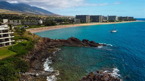 Get Up Close and Personal with Maui's Majestic Turtles: 10 Must-Visit ...