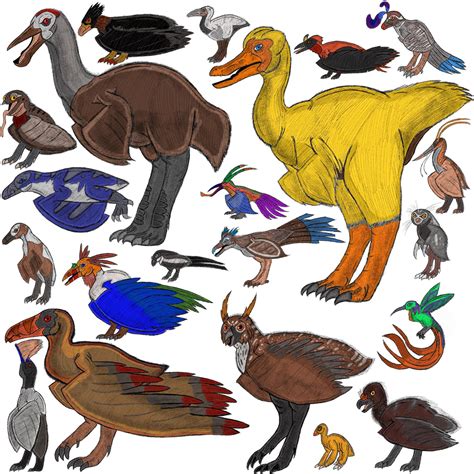 Meet the Diverse Species of Bird's of the Aquaticocene Epoch!! : r ...