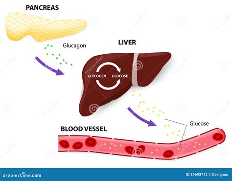 Glucose Royalty-Free Stock Image | CartoonDealer.com #83616094