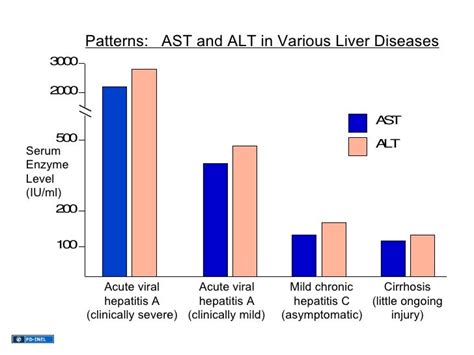 High Ast And Alt / Elevated Liver Enzymes: Causes and Symptoms | IYTmed ...