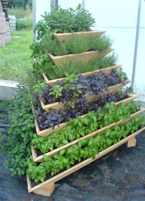 Pin on Vegetable/ Herb gardens