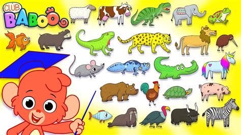 Animal ABC | Learn the alphabet with 26 animals for children | Alphabet ...