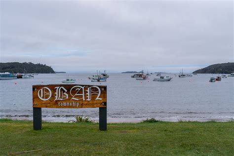 Stewart Island, New Zealand: What to Do, Where to Go, and Where to Stay