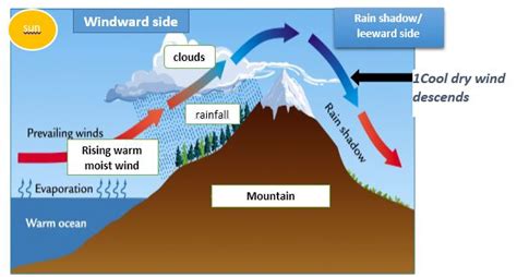 GEOGRAPHY EASY ELEARNING: TYPES OF RAINFALL