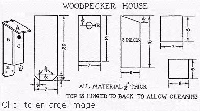 Build a Woodpecker House