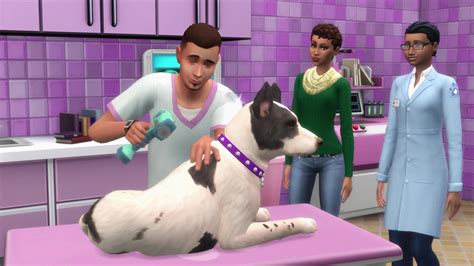 The Sims 4 Cats & Dogs: Sims Camp Gameplay Overviews (LIST) | SimsVIP