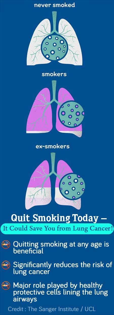 Smokers Lungs After Quitting Smoking