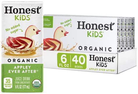 Honest Kids Organic Juice Boxes 40-Count Only $12 Shipped on Amazon ...