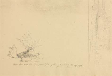 Landscape and Tree Studies (verso) by David Johnson - Artvee