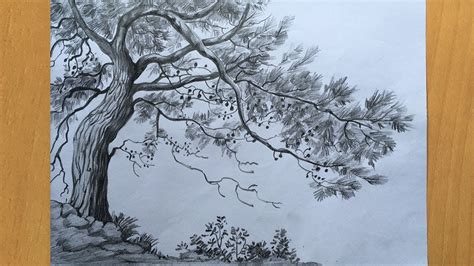 How To Draw Pencil Sketches Of Trees