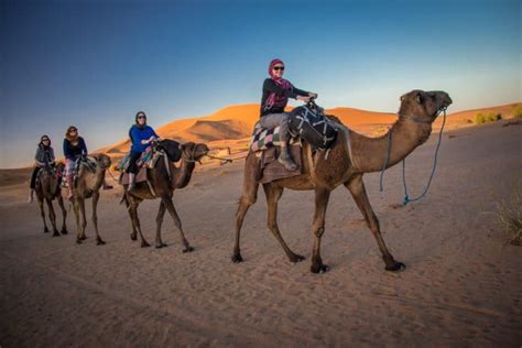 Bucket List: Ride a Camel in the Sahara Desert - Travel Guides ...