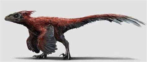 Pyroraptor Concept Art by matuta2002 on DeviantArt