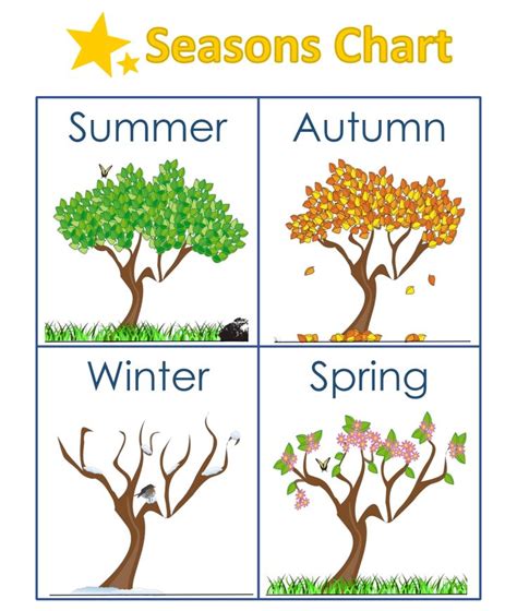 Kindergarten Seasons Worksheets | Seasons worksheets, Seasons chart ...